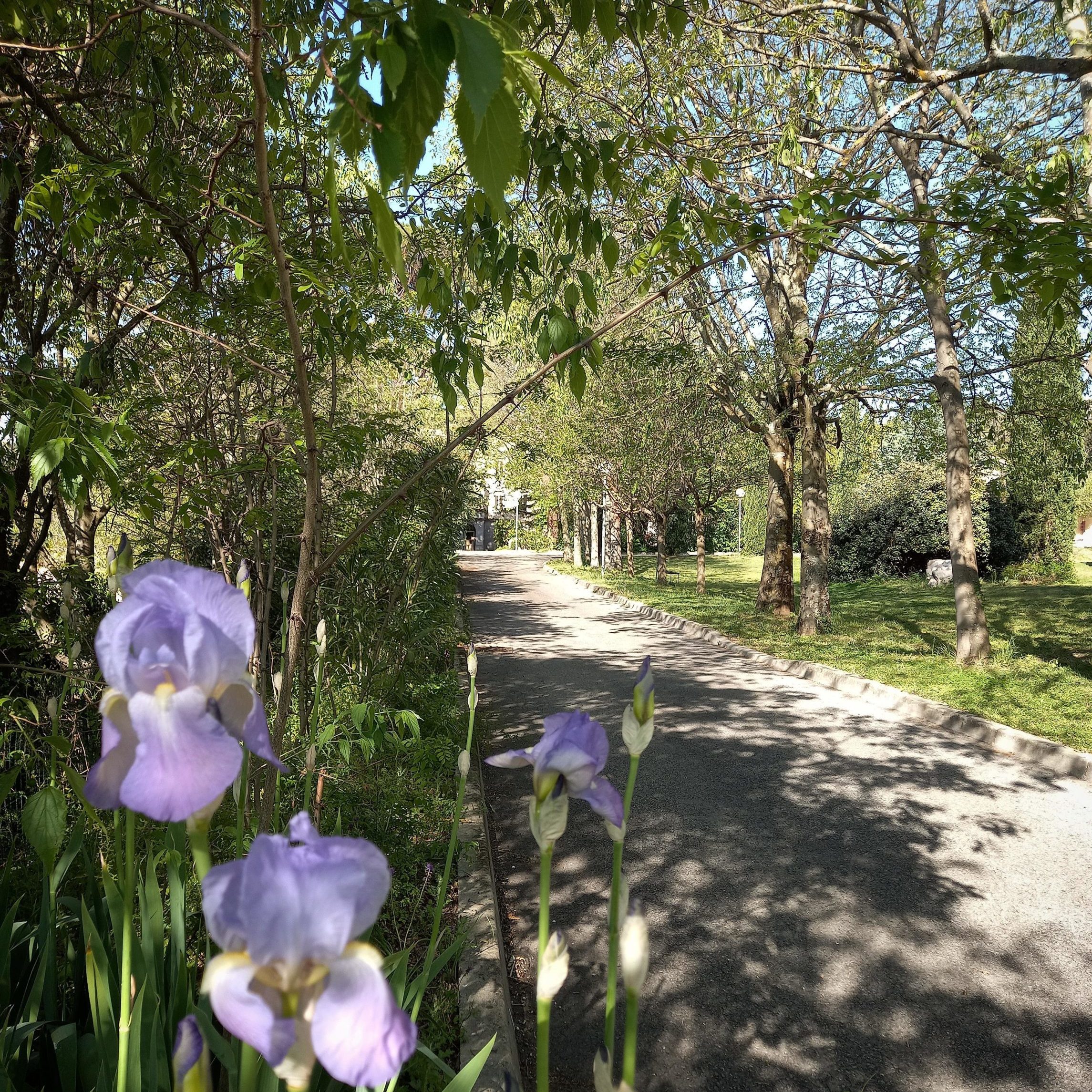 Château de Fabiargues - Réceptions & Chambres d'hôtes dans le Gard