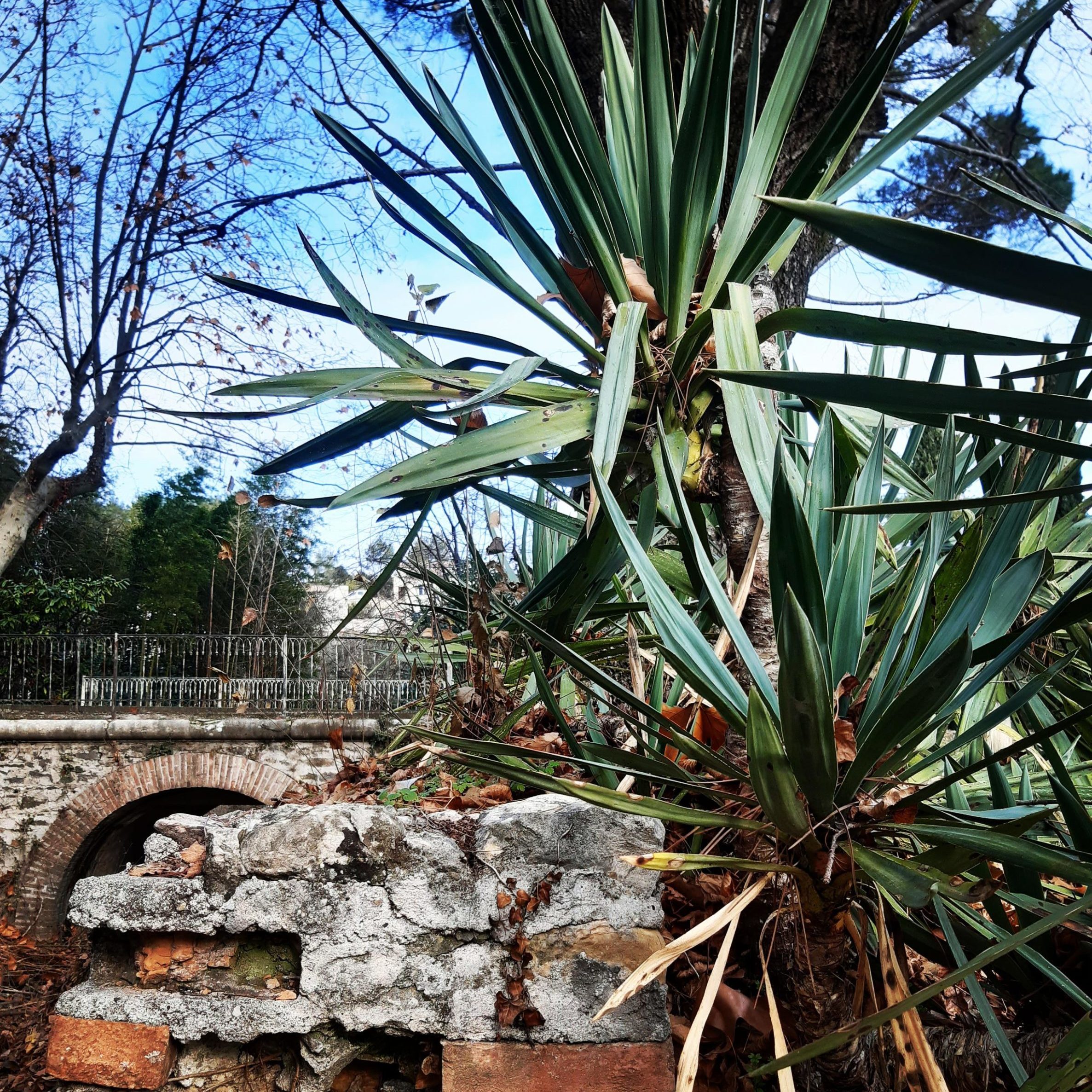 Château de Fabiargues - Réceptions & Chambres d'hôtes dans le Gard