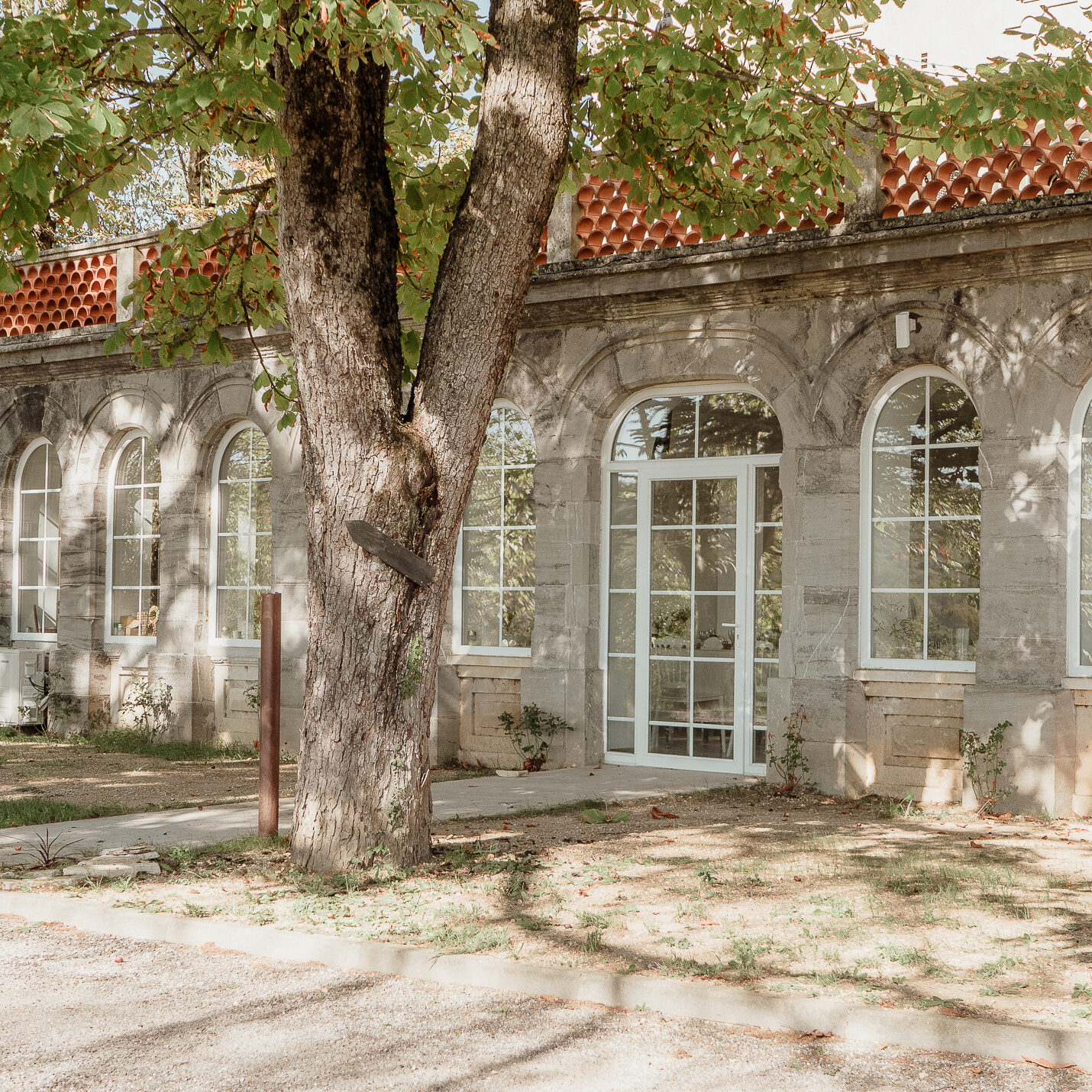 La roseraie du Château de Fabiargues