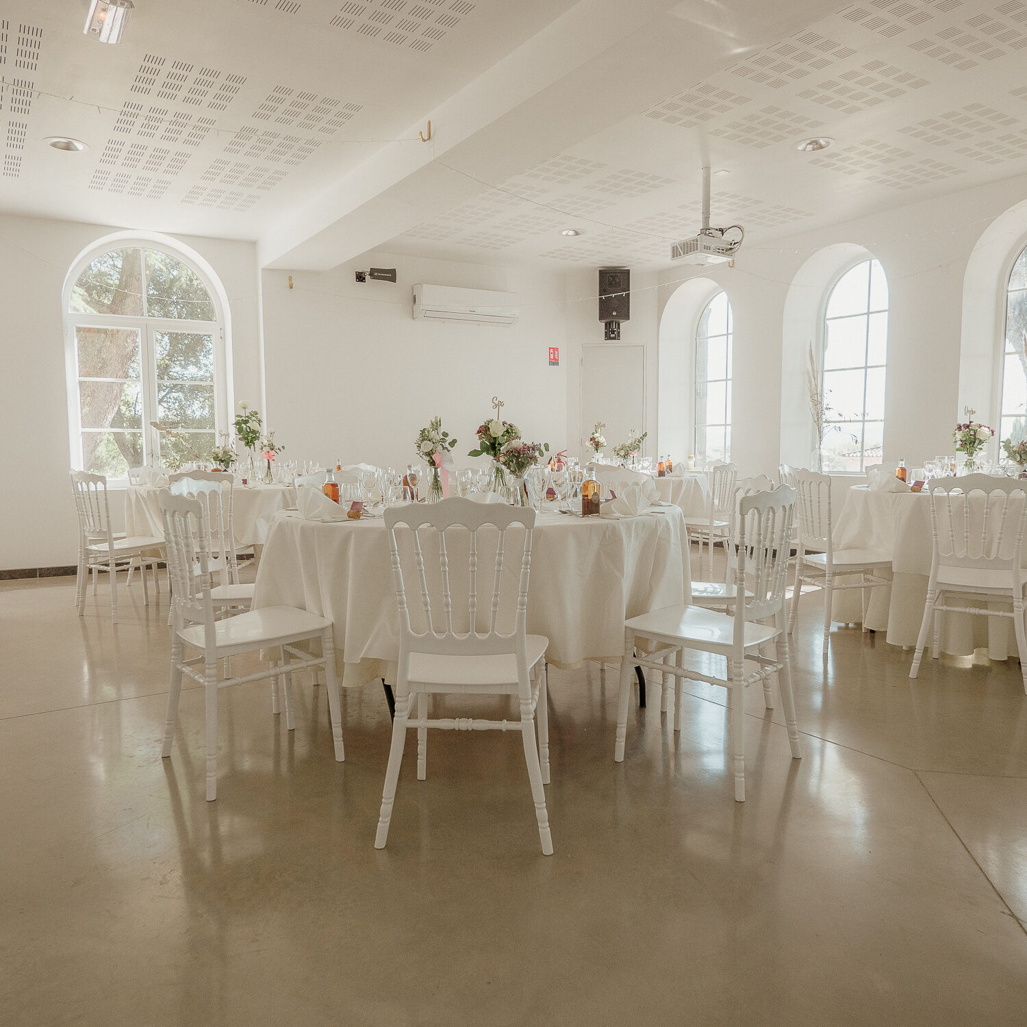 La roseraie du Château de Fabiargues